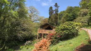 Una cabaña de madera con balcón, rodeada de exuberante vegetación y árboles.