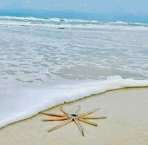 On the beach, sun-loungers, beach towels