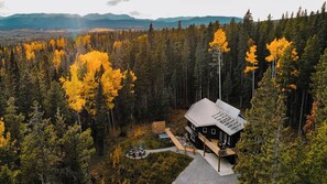 Eine Holzhütte mit einer Terrasse und einem Feuerkorb in einem Wald.