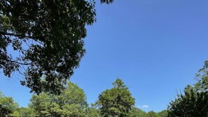 A backyard with a swimming pool, a pink flamingo float, and a house in the background. - Private Pool–Renovated Home for Groups/Getaways (Memphis)