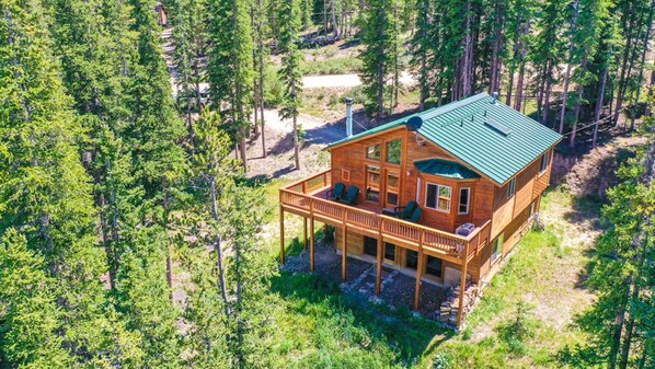 A wooden cabin with a green roof, surrounded by dense forest.