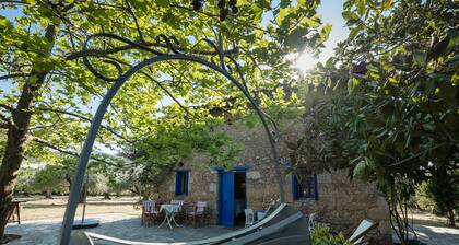 Hidden cottage, private beach access and sea view