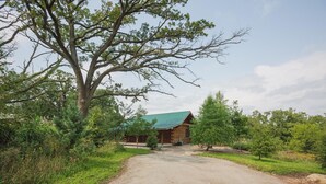 Une cabane rustique avec un toit végétalisé, entourée d’une végétation luxuriante et accessible par un sentier de terre.
