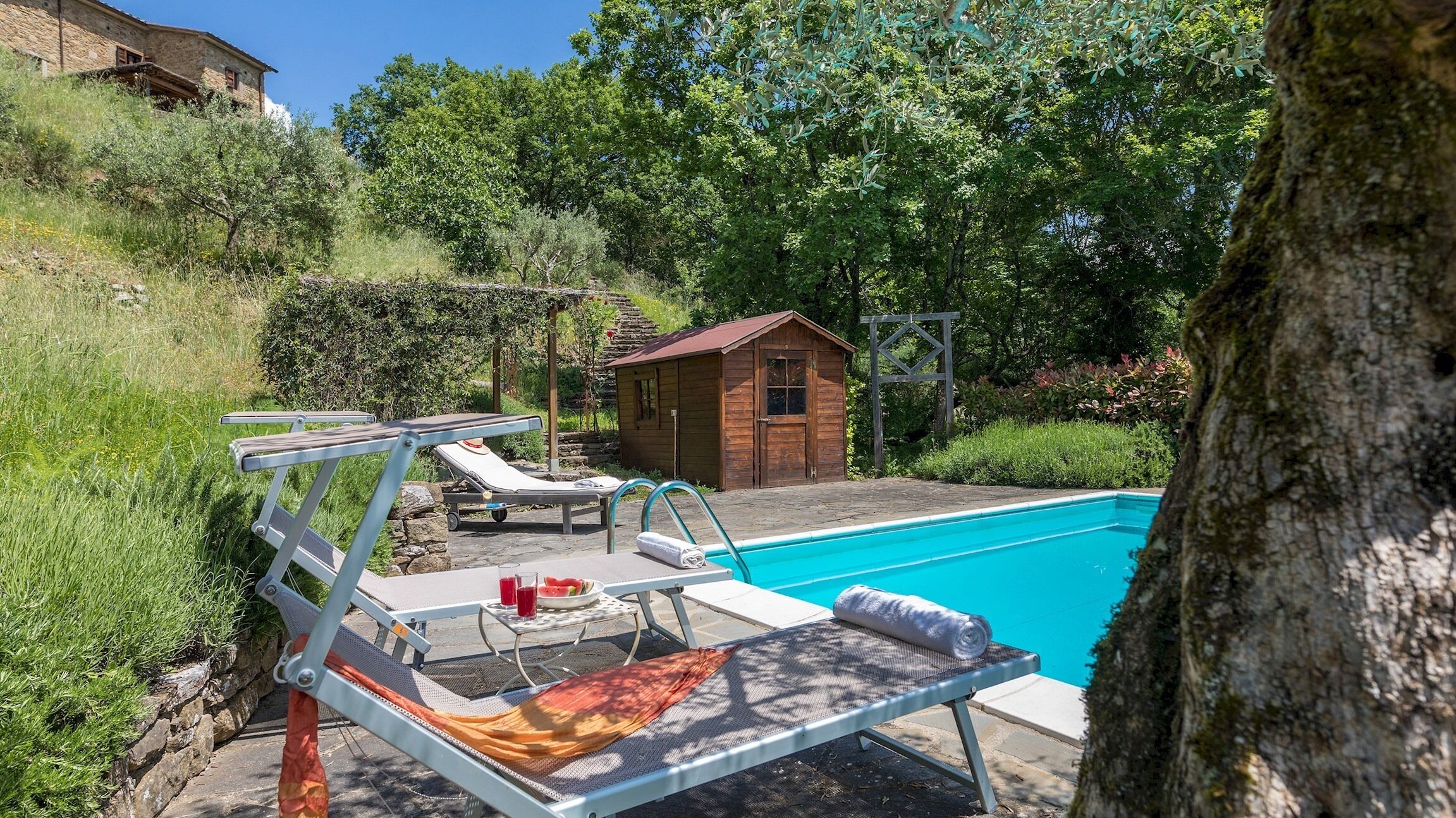 A swimming pool with lounge chairs and a small wooden shed in a lush, green outdoor setting.