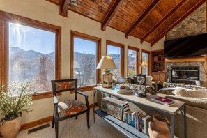 Smart TV, fireplace, books, computer monitors