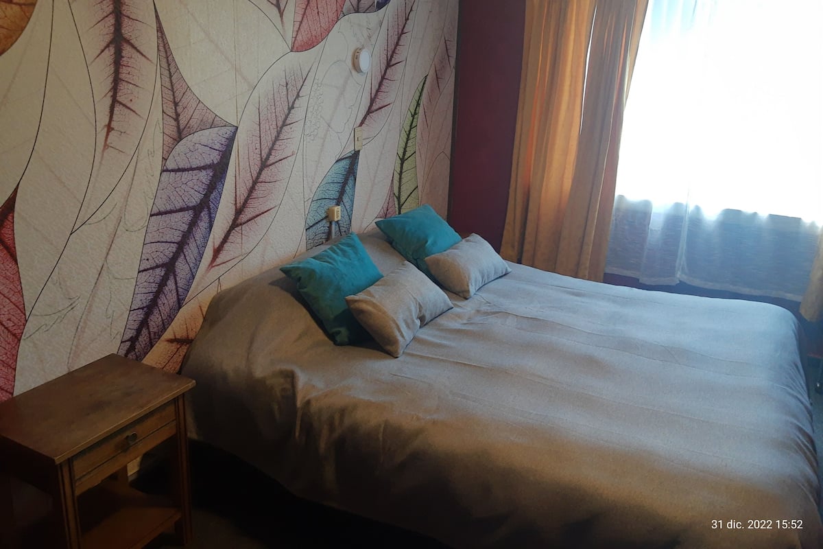 Basic Double or Twin Room