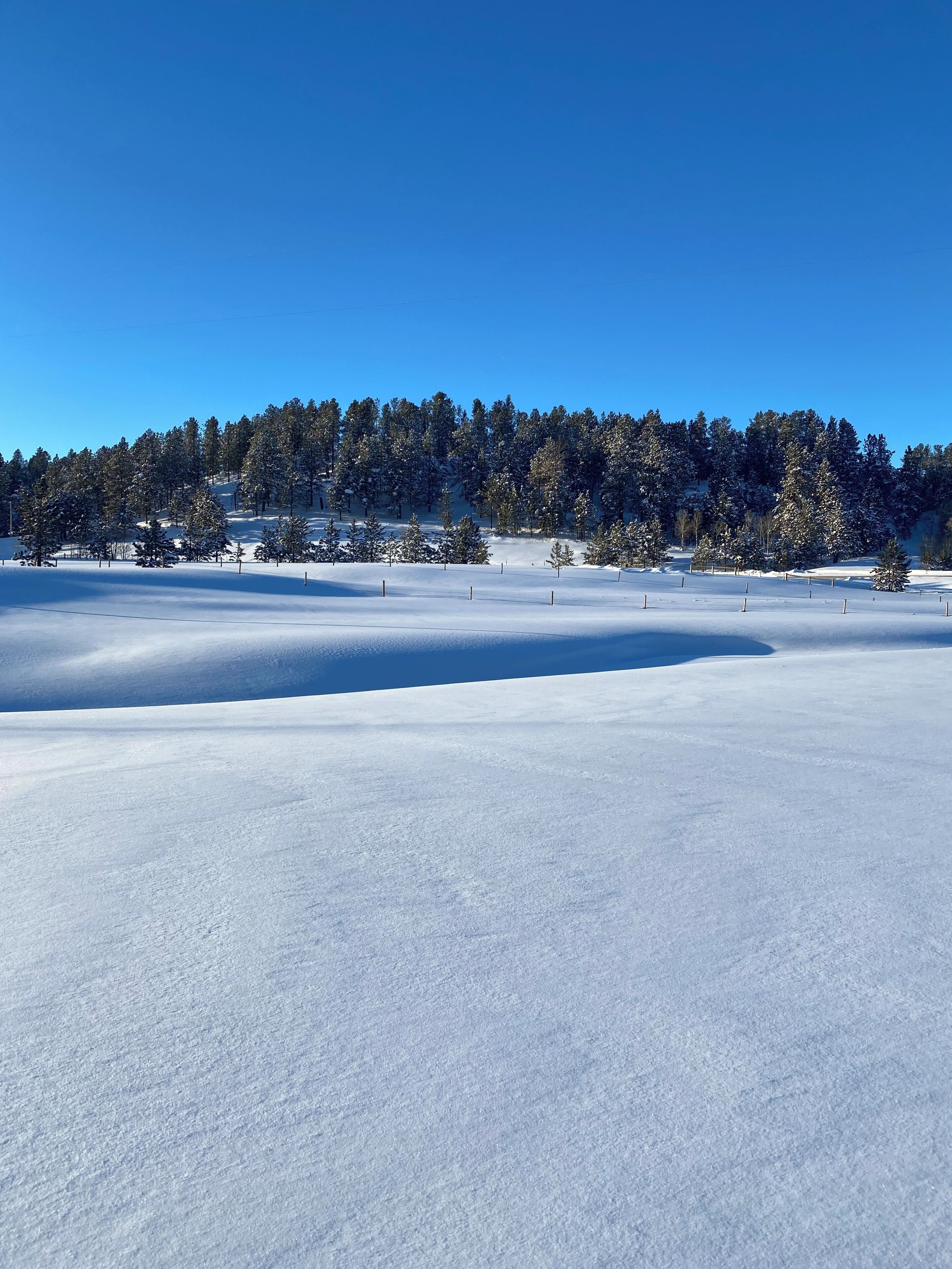 Schneebedeckte Landschaft mit blauem Himmel und einem Wald im Hintergrund.