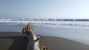 A beach with a driftwood log in the foreground and waves in the background. - Blue Window (Veintisiete de Abril)