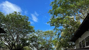 A bamboo fence with a sign that reads "Blue Window." - Blue Window (Veintisiete de Abril)