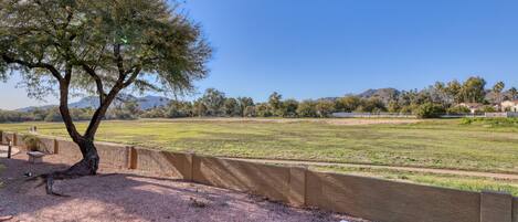A park with a bench, a tree, and a view of a field and mountains.