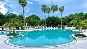 Una piscina grande y curvada rodeada de sillones de descanso y palmeras.