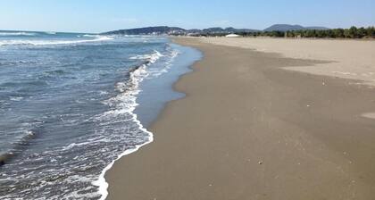 Apart Hotel President