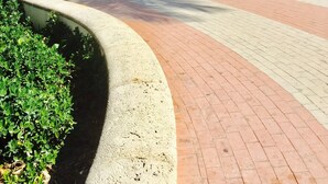 A paved walkway with a curved edge, lined with greenery and palm trees.