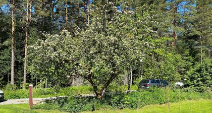 Impresionante casa en Boxholm con WiFi