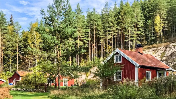 A red wooden house with a sloped roof, surrounded by a forested area with tall pine trees. - Awesome home in Boxholm with WiFi (Boxholm)