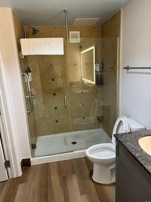 Shower, hair dryer, towels, soap
