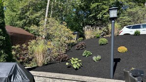 Een aangelegde tuin met verschillende planten en een geplaveid pad.
