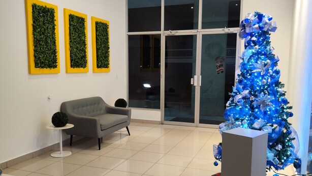 Um hall moderno com uma grande porta de vidro, um pinheiro de Natal azul e um sofá cinzento.