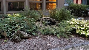 A garden with various plants and a small rock formation. - Privacy, Fresh Mountain Air, and Thoughtful Hospitality (Stuart)