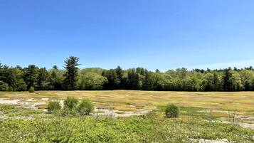 A natural landscape with a grassy field, trees, and a clear sky.
