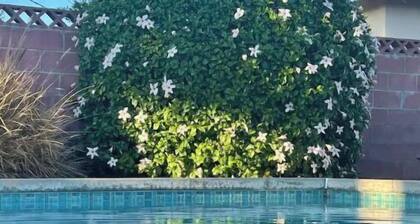 Relaxing 3 Bedroom, 2 Bathrooms. Large backyard, pool, jacuzzi + 2 patios, grill