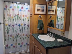 Ducha, secador de pelo, toallas y papel higiénico