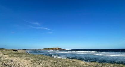 Betty: Luxe at the seaside - Lake Illawarra foreshore and Warilla Beach