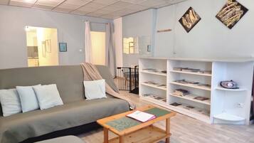 TV, DVD player, books