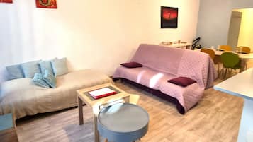 Télévision, lecteur de DVD, livres