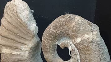 DĂ©tail de lâintĂ©rieur