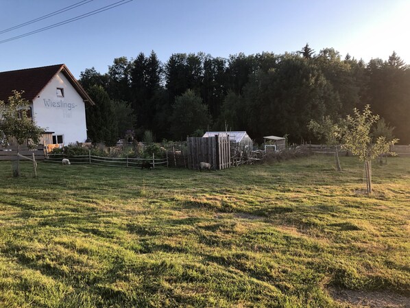 Overnattingsstedets uteområder