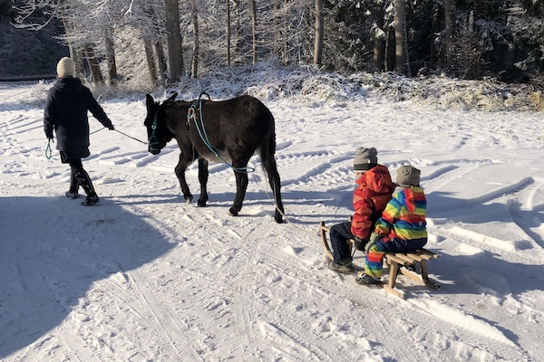 Wintersport/Ski