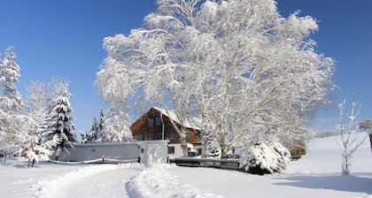 AllgÀu peace and serenity in the middle of nature, on a donkey farm