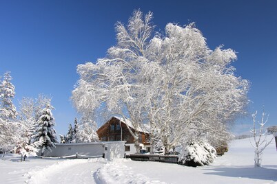 Allgäu peace and serenity in the middle of nature, on a donkey farm