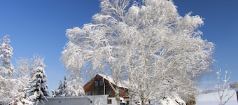 Allgäu peace and serenity in the middle of nature, on a donkey farm
