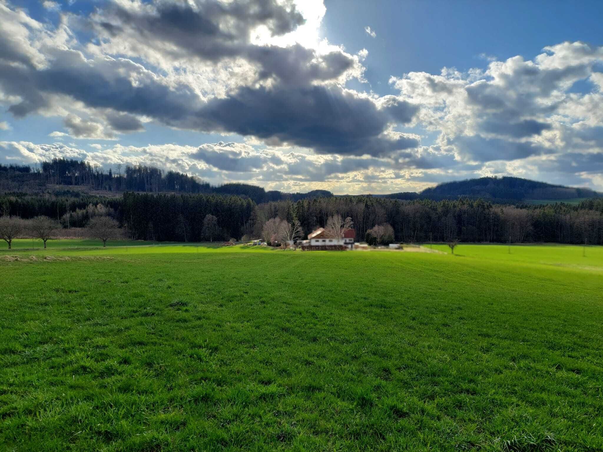 A rural landscape with a large green field, a small cluster of buildings, and a forested hill in the background.