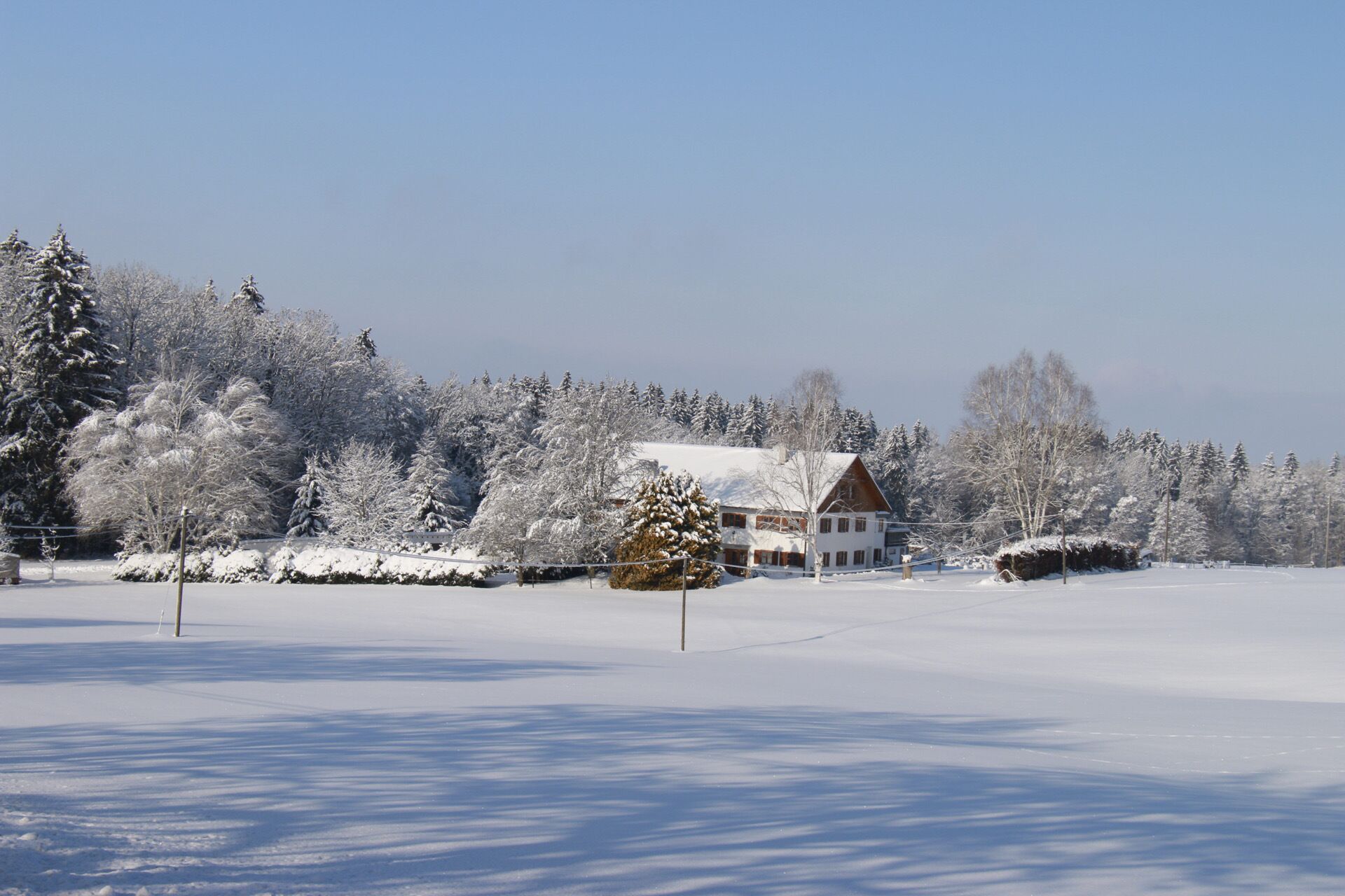 Un paysage enneigé avec une cabane en bois entourée d’arbres.