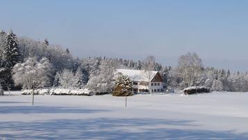 Un paysage enneigé avec une cabane en bois entourée d’arbres.