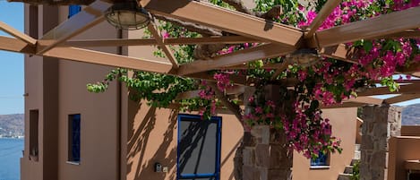 Un espace extérieur ensoleillé avec un banc en pierre, un panier de fruits et une vue sur la mer.