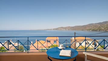 Vila | Teras/patio