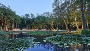 A serene lakeside setting with a row of small cabins, lily pads on the water, and dense trees in the background.