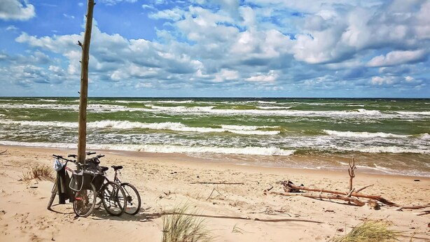 En strand med cyklar parkerade nära ett träd, och havet i bakgrunden.