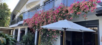 Domaine Lianes de Mysore II