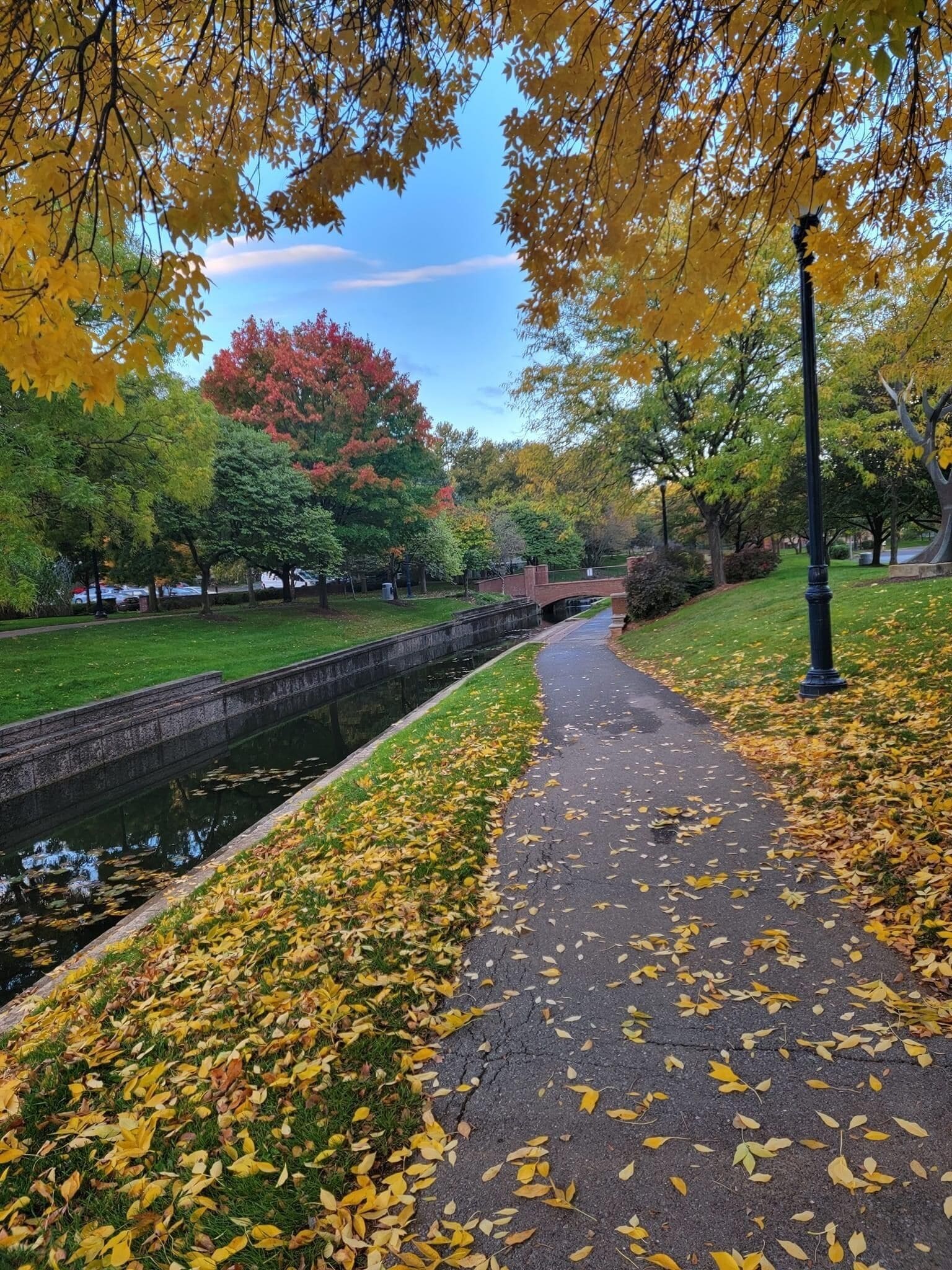 Ein Parkweg mit einem Wasserkanal, umgeben von Bäumen mit Herbstlaub.