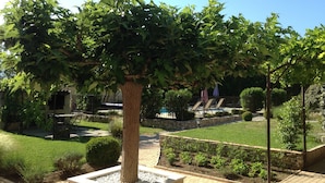 A garden with a large tree in a planter, a swimming pool, and a well-maintained lawn. - Gîte Les Oliviers Côté Lavande, near Vaison La Romaine  (Crestet)