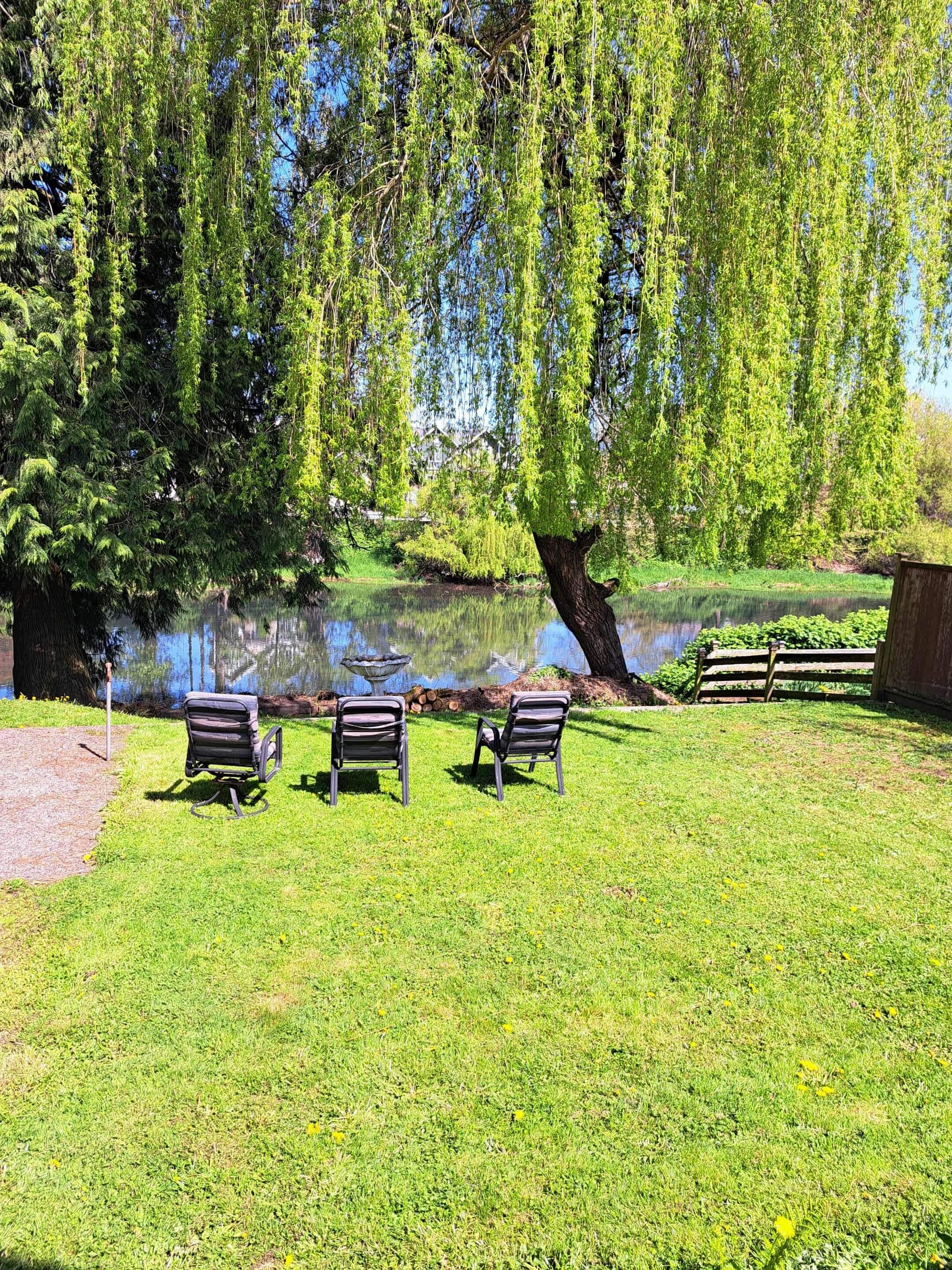 Overnattingsstedets uteområder