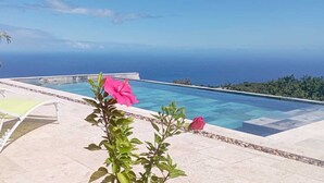 A pool with a clear view of the ocean, two green lounge chairs, and a potted plant with pink flowers. - Villa Maho with breathtaking views (Petite Île)