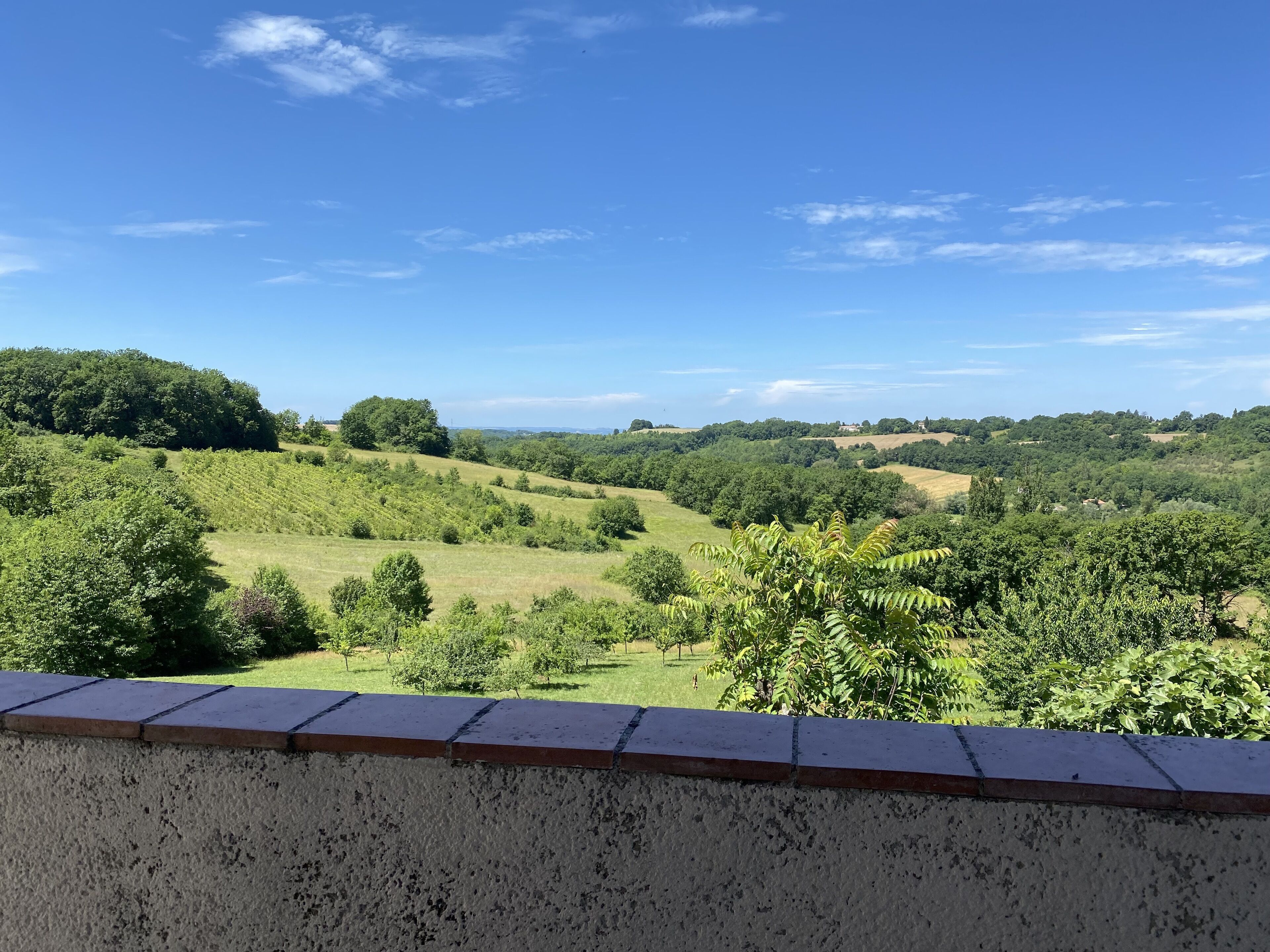 A view from a balcony overlooking a lush green landscape with rolling hills and scattered trees.
