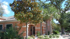 Un edificio con jardín que presenta diversas plantas y una palmera.