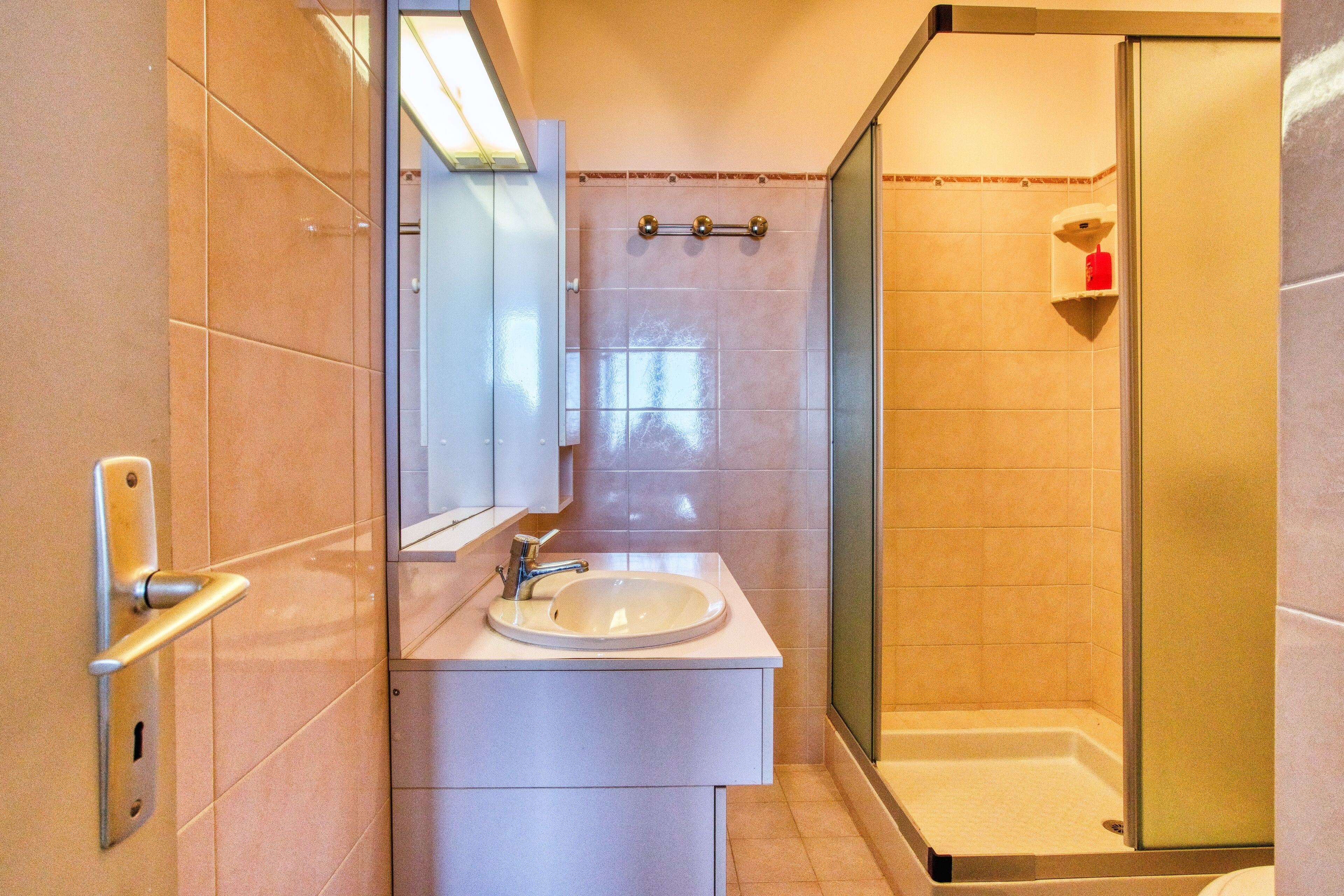 Een moderne badkamer met een wastafel, spiegel en douche.